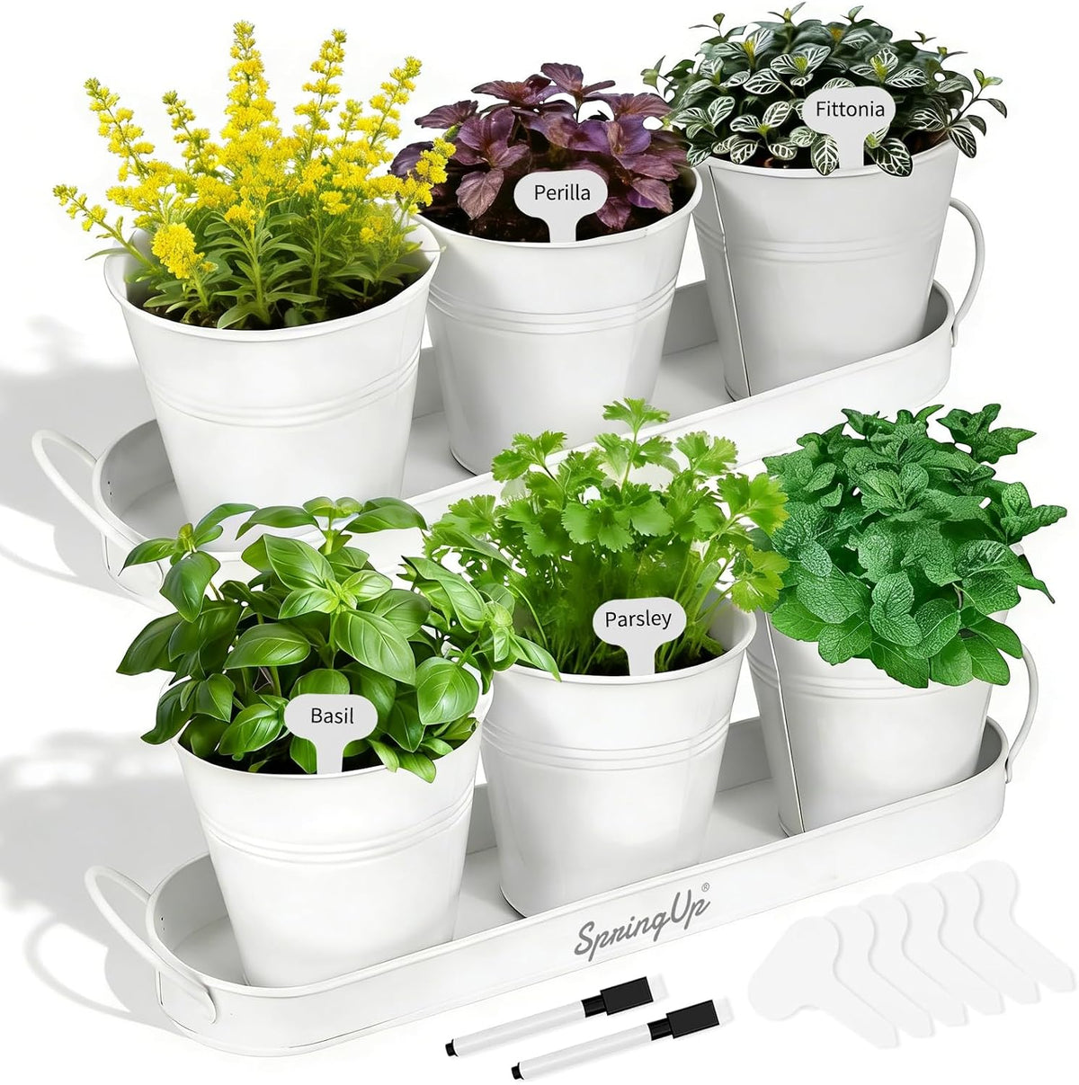 Indoor Herb Garden Planter Set, 3 Pack