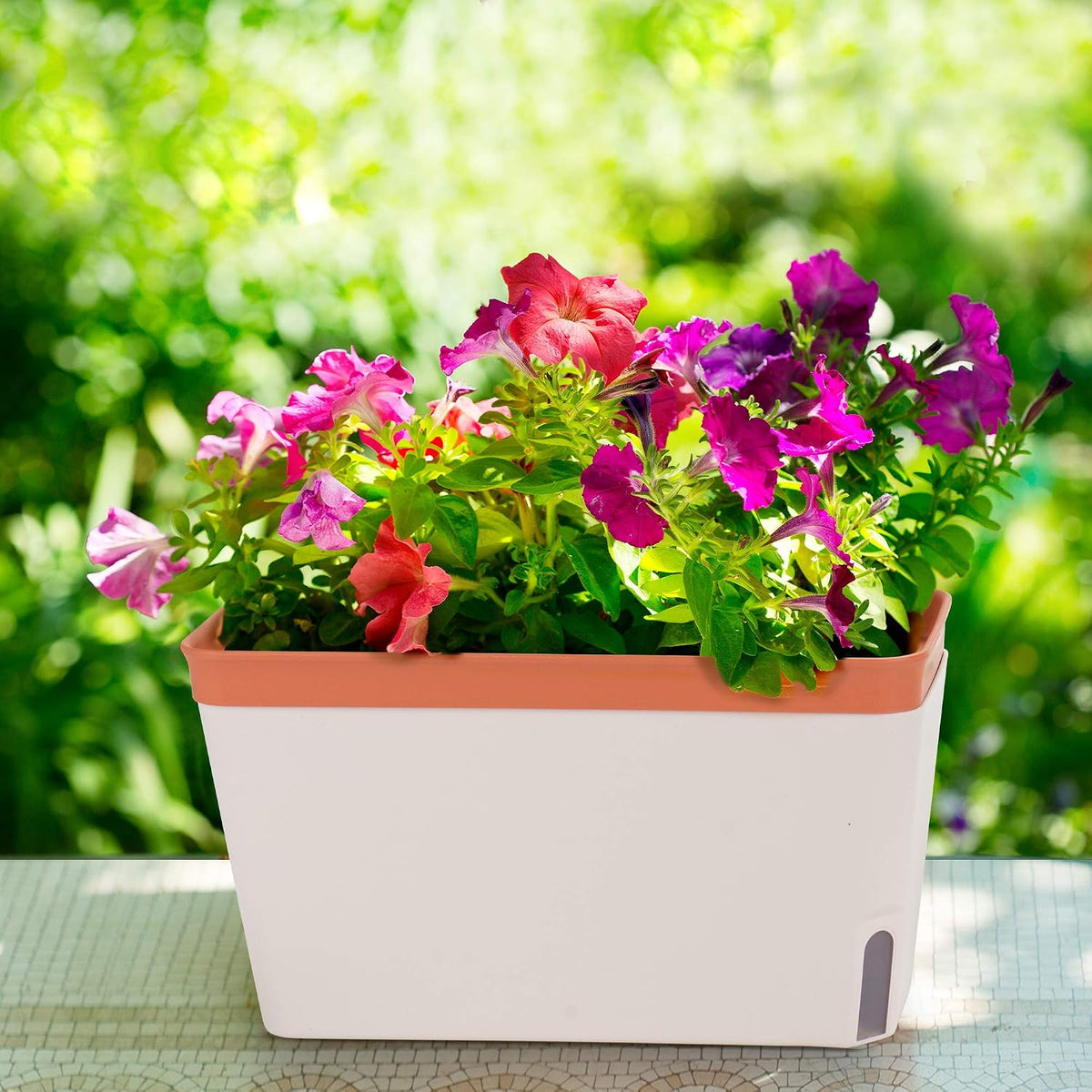 Amazing Creation Large Self-Watering Window Planters, 3 Pack