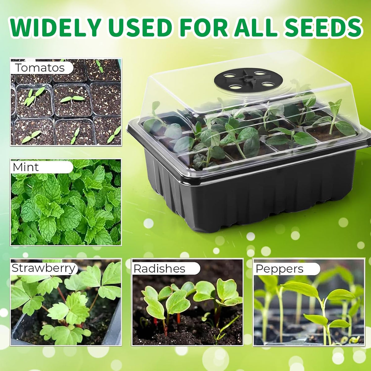 Seed Starter Tray with Heat Mat and Grow Light