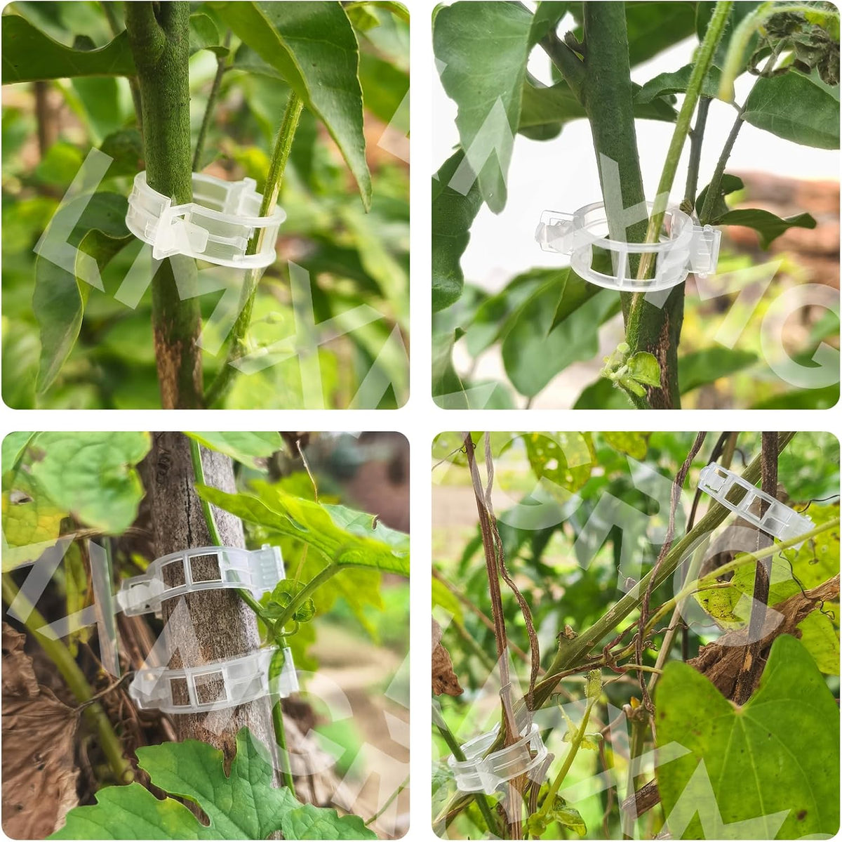 Plant Support Clips, 100 Pack