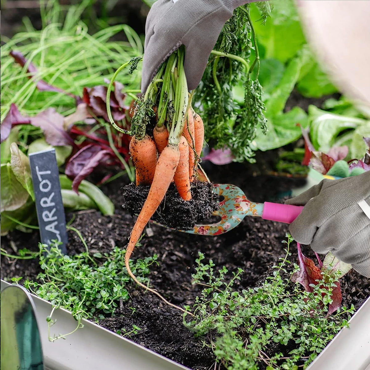 Gardening Tool Set, 6 Piece