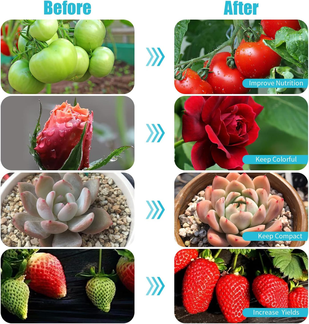 Clip-On LED Grow Lights with Timer, 2 Pack