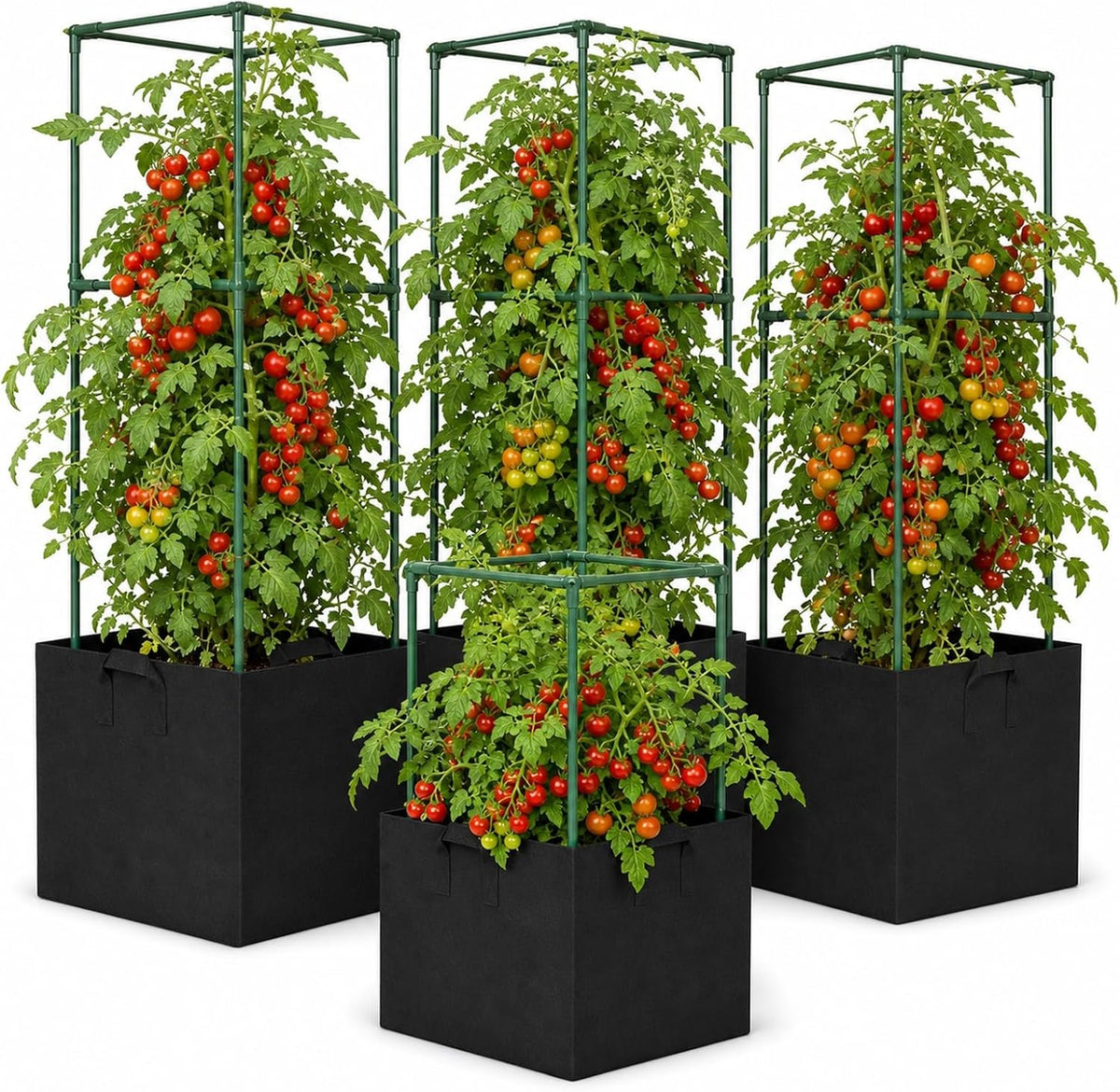Tomato Cages with Grow Bags, 3 Pack