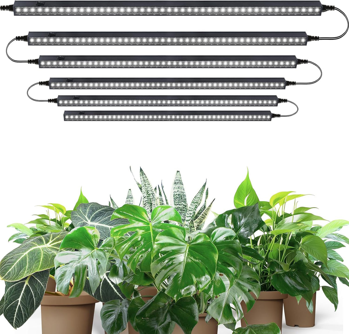 Barrina T5 Grow Lights, 2 ft, 6 Pack