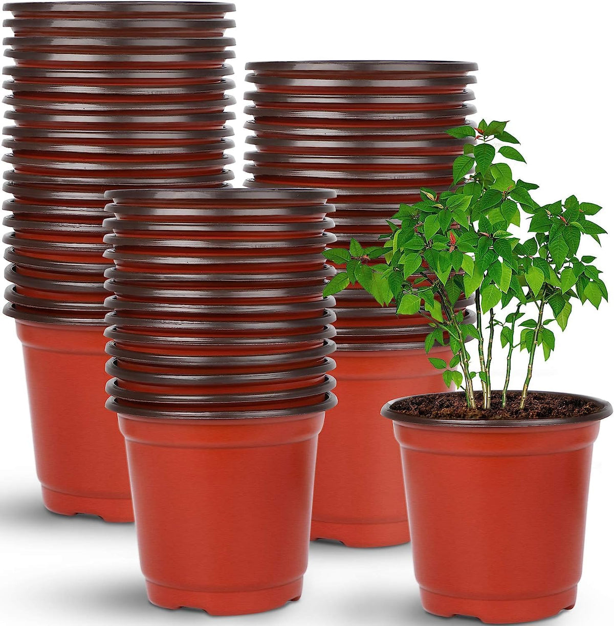 Plastic Nursery Pots, 100 Pack, 4 in