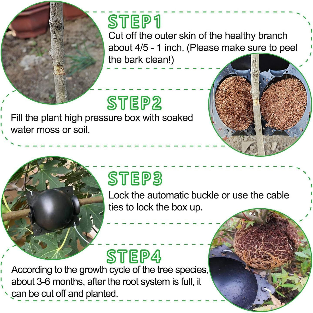 Plant Root Growing Boxes, 12 Pack