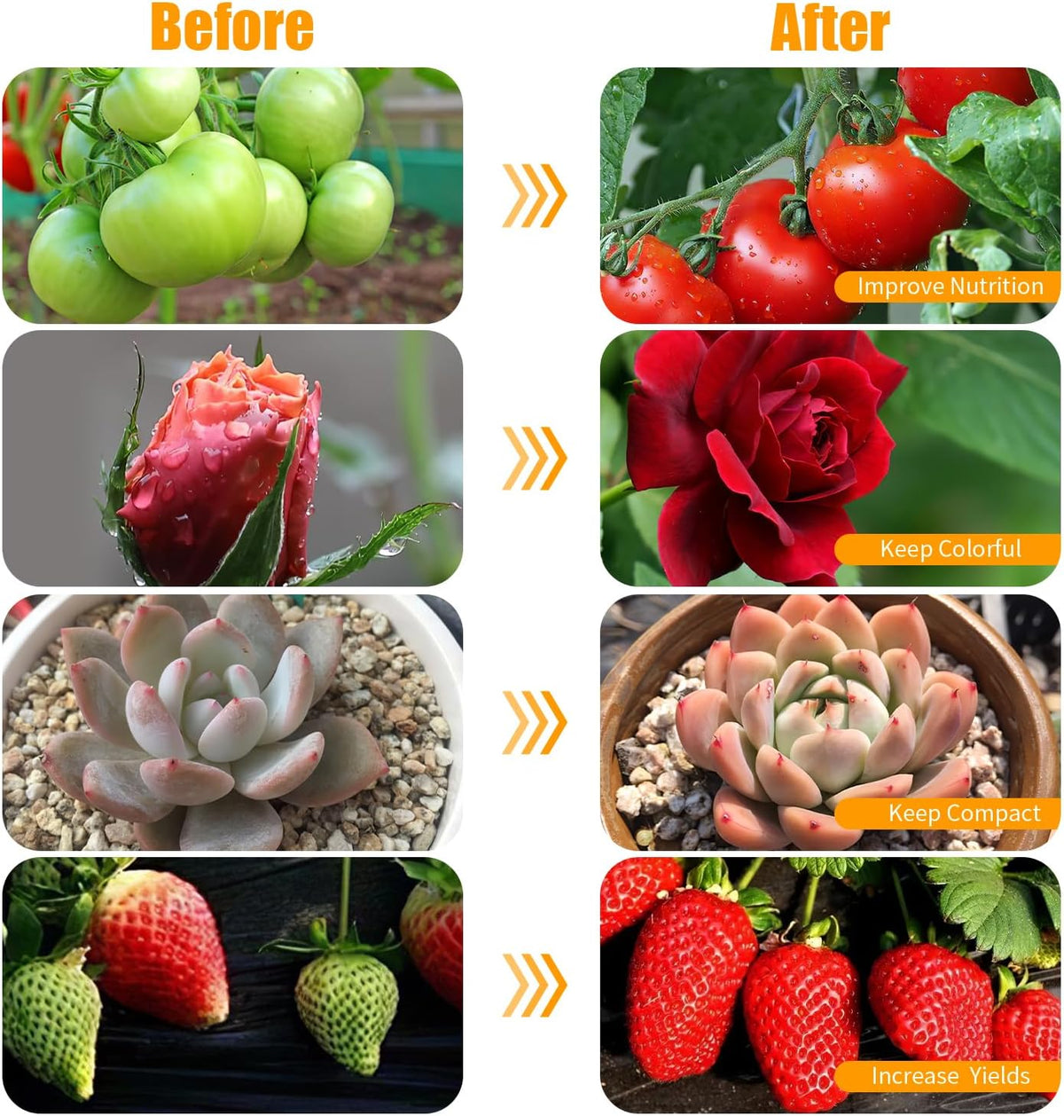 Clip-On LED Grow Lights with Timer, 2 Pack