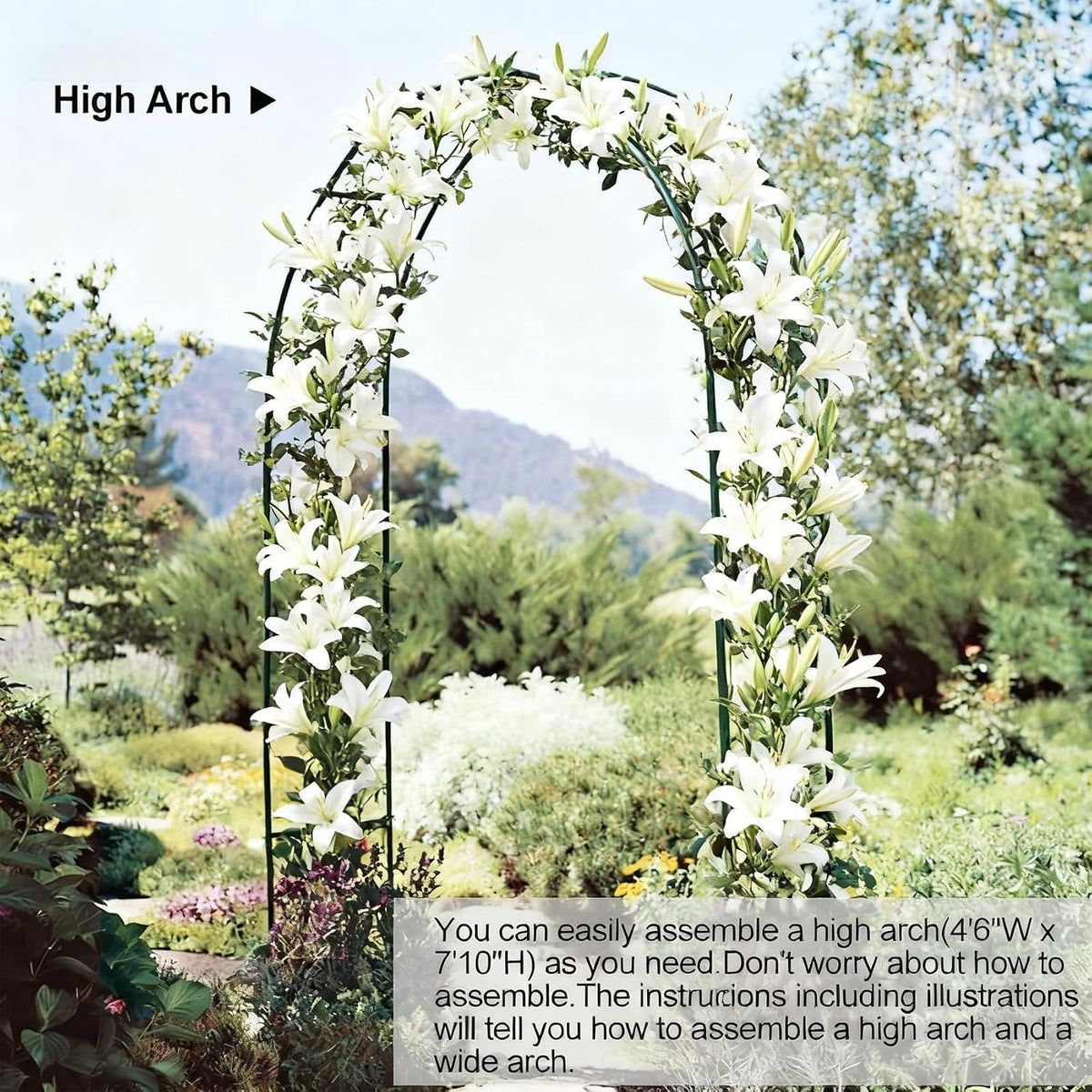 Metal Garden Arch Frame, Black