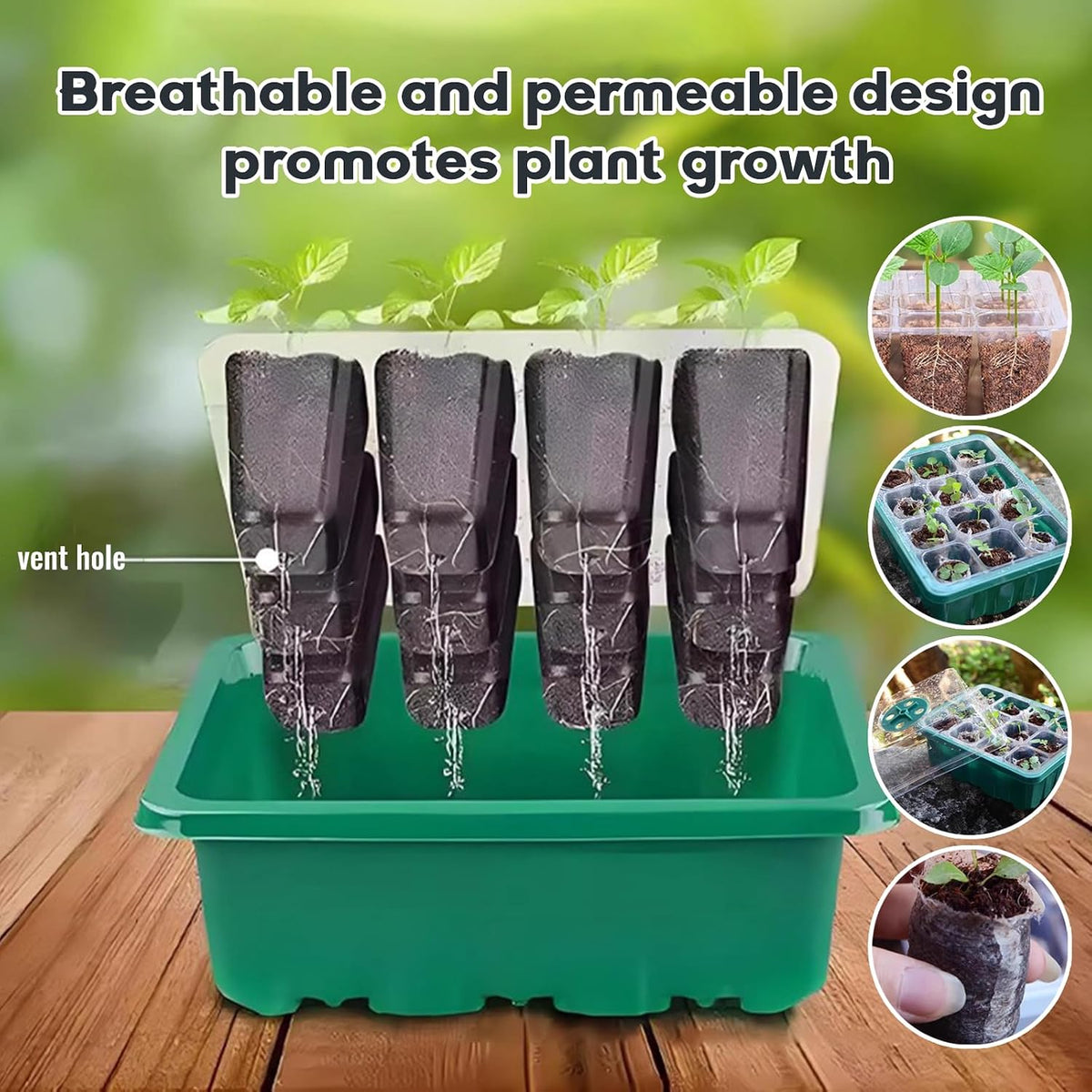Seedling Starter Tray Kit, 120 Cells