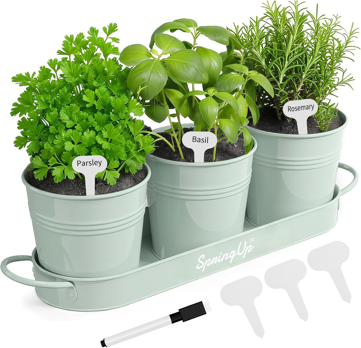 Indoor Herb Garden Planter Set, 3 Pack