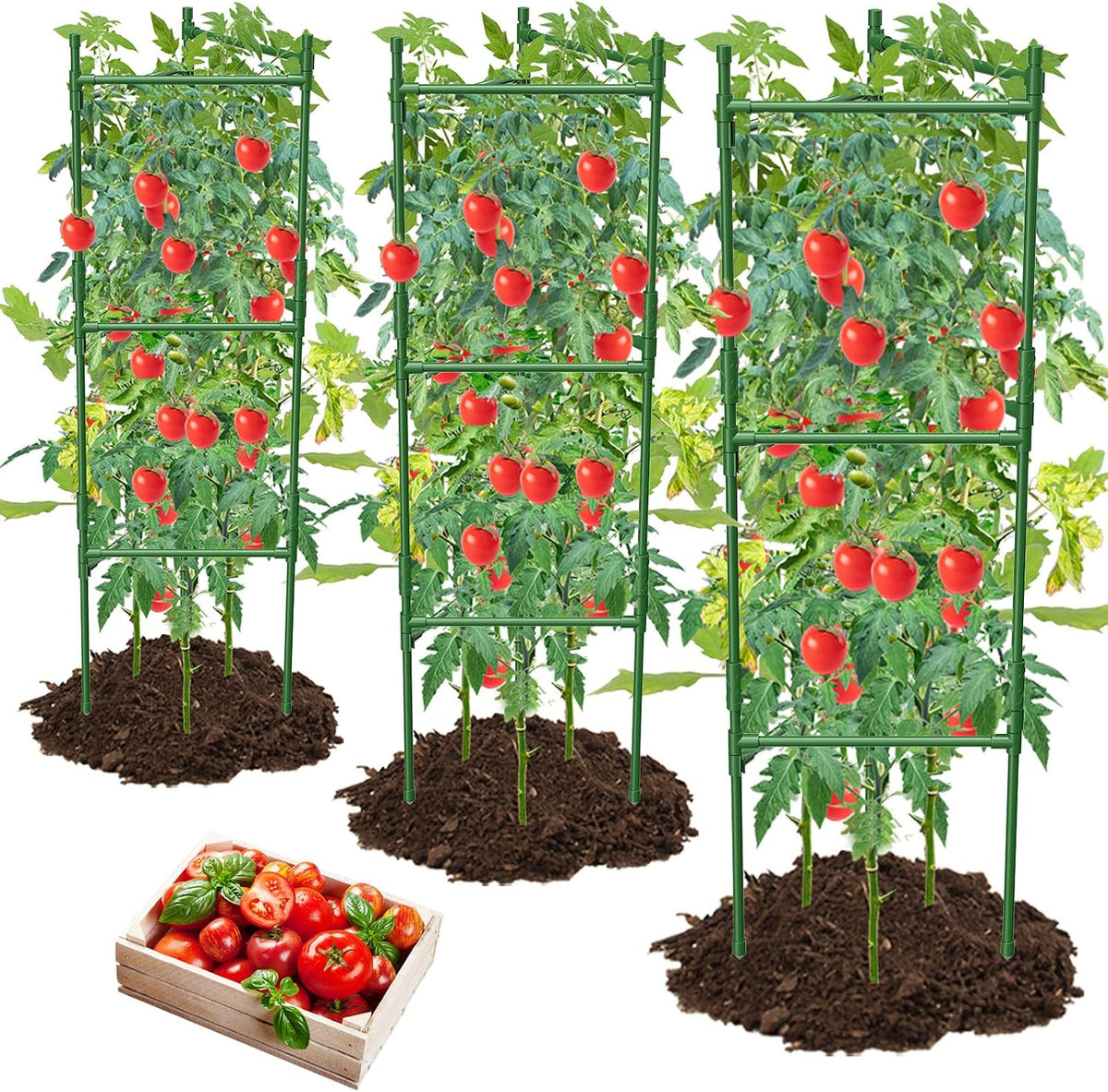 Tomato Cages, 3 Pack, 120 cm