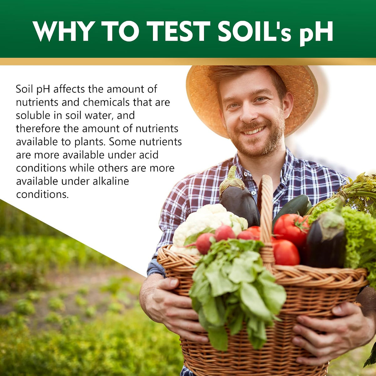 Soil pH Test Strips, 125 Pack, pH 3–9