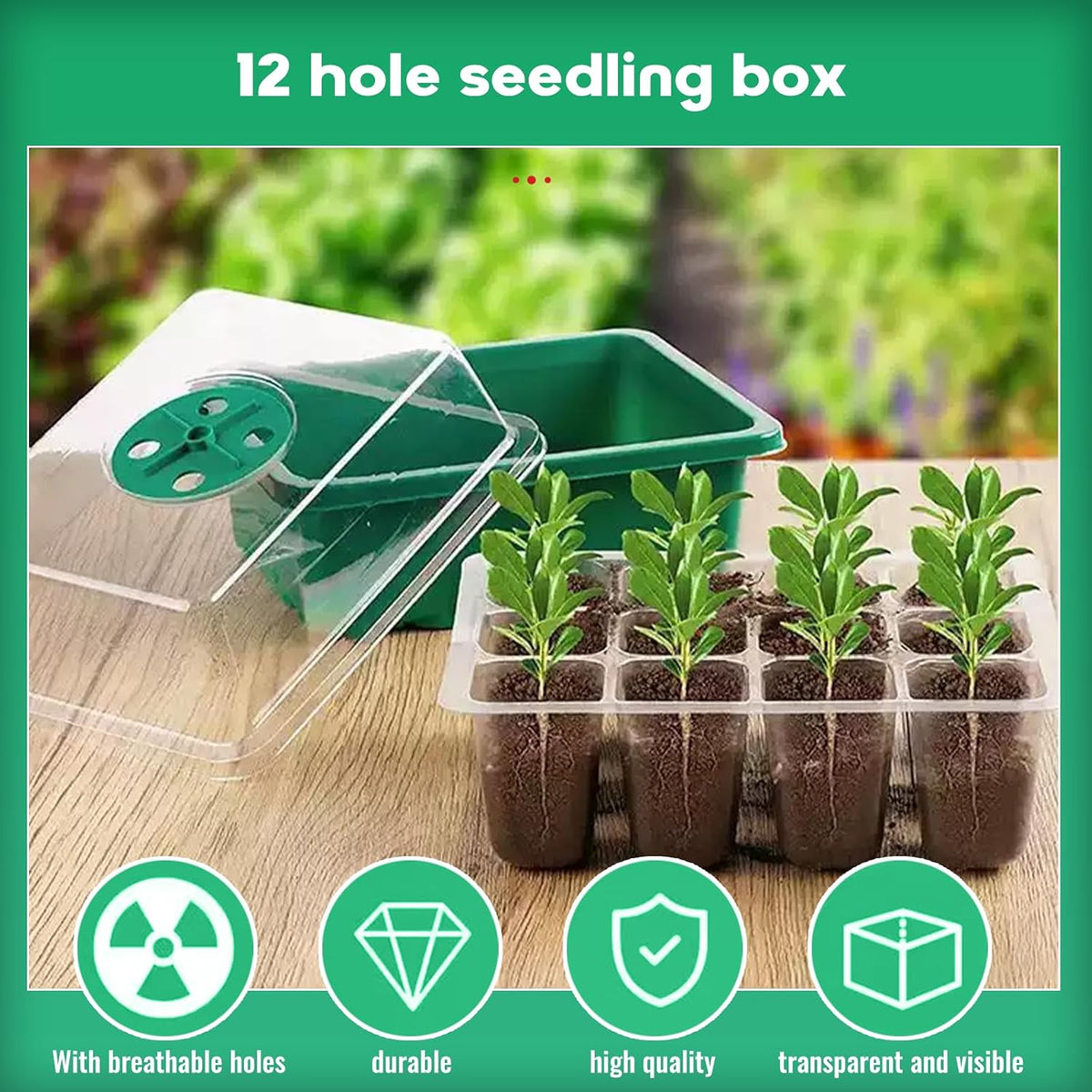 Seedling Starter Tray Kit, 120 Cells