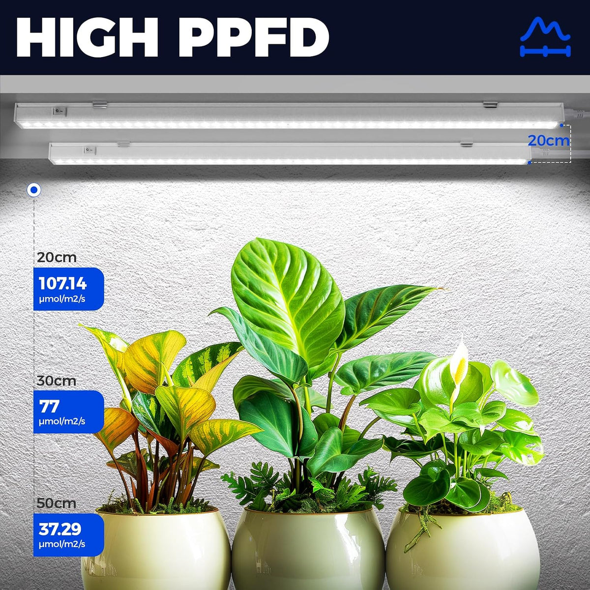 Barrina T5 Grow Lights, 1 ft, 6 Pack