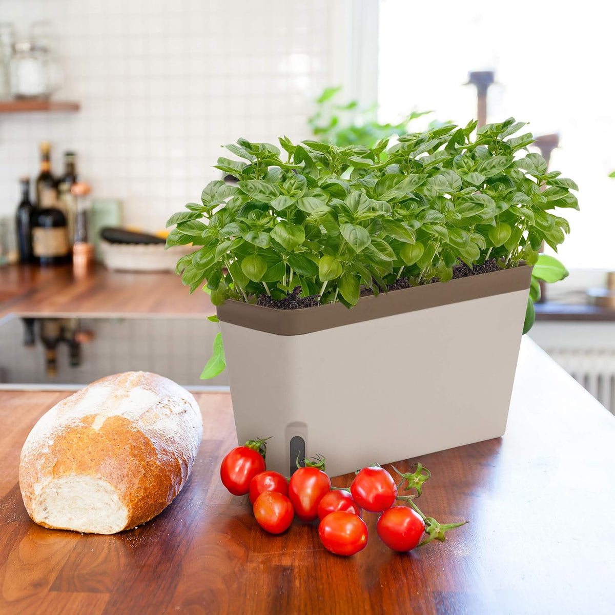 Amazing Creation Large Self-Watering Window Planters, 3 Pack
