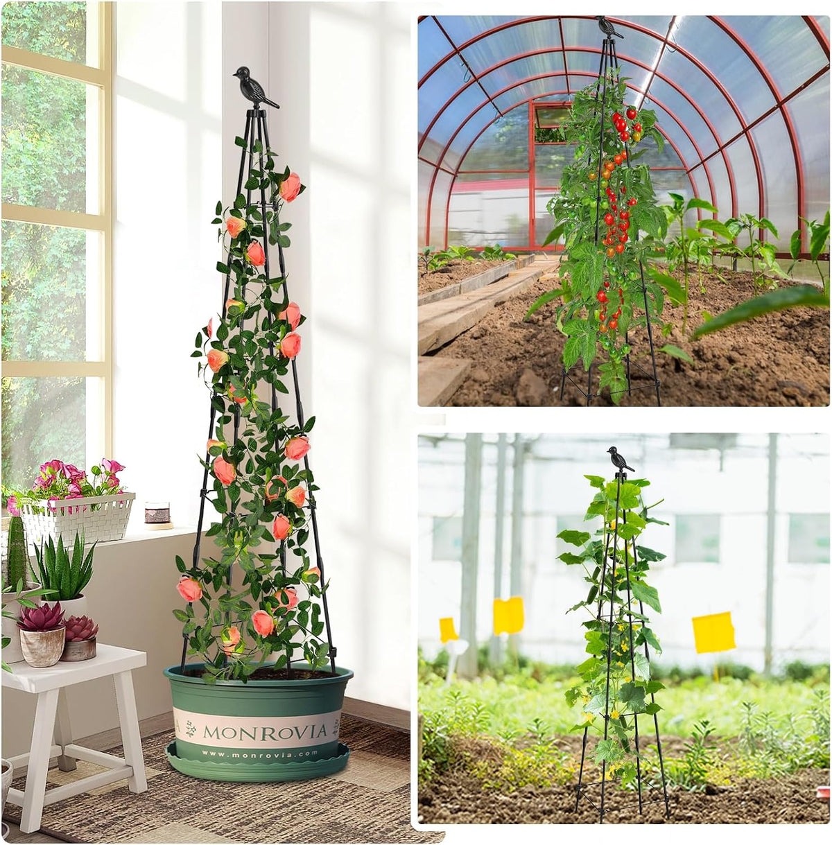 Adjustable Plant Trellis, 2 Pack, 65 in