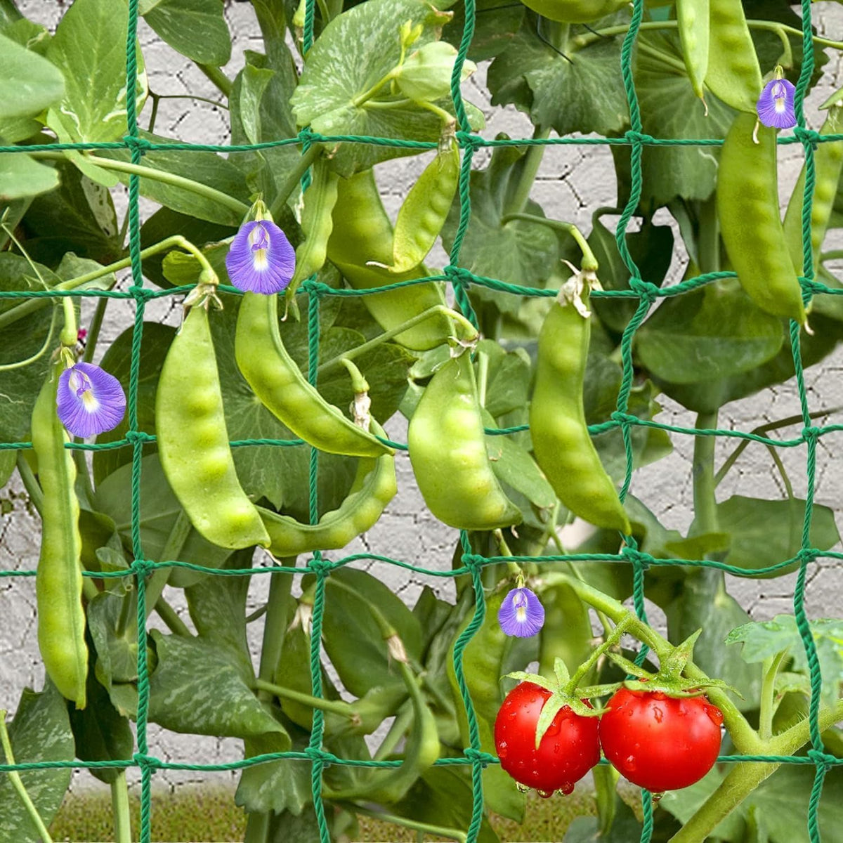 Trellis Netting, 16.4 x 6.6 ft