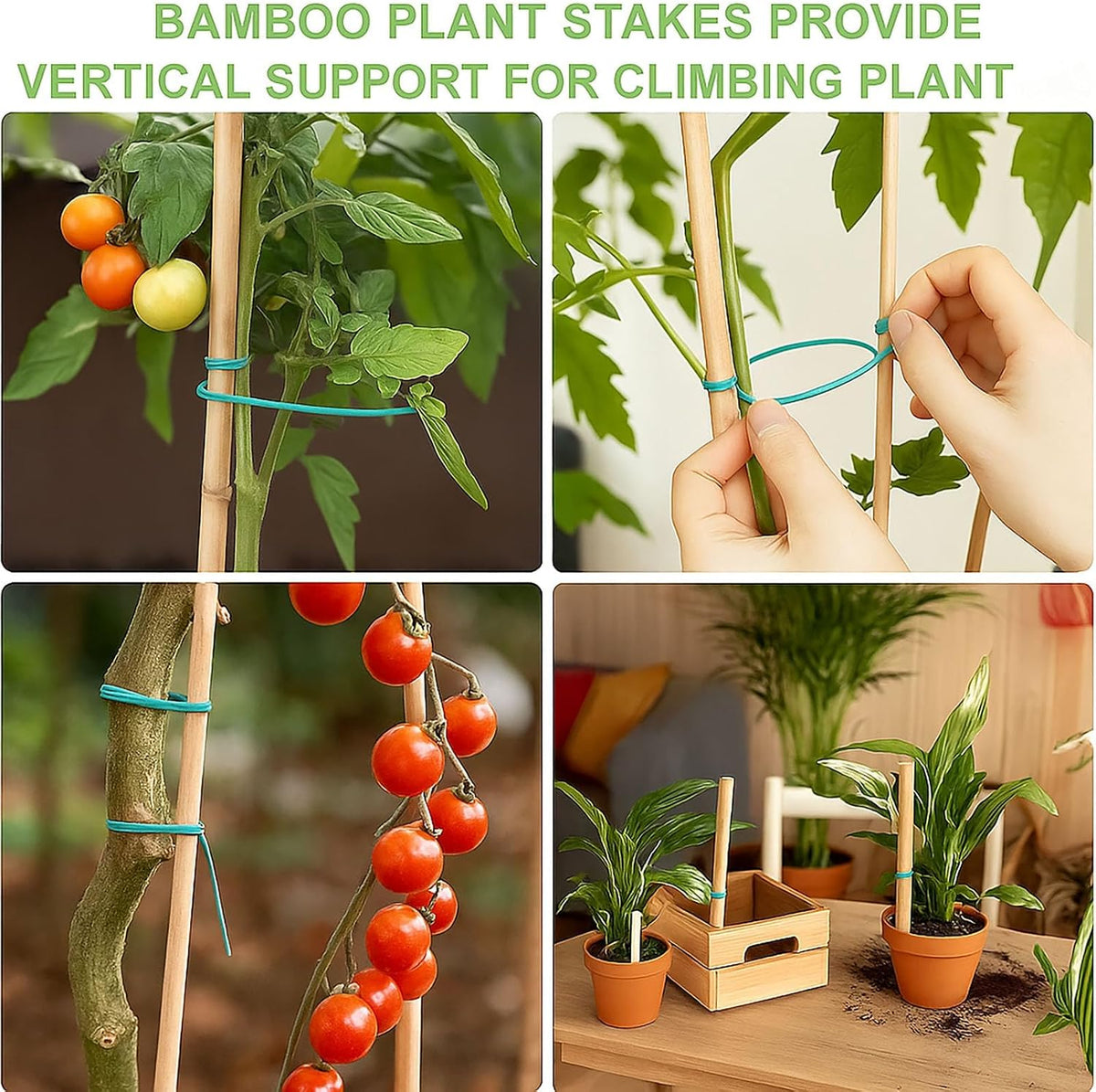 Bamboo Plant Stakes with Twist Ties, 20 Pack, 45 cm
