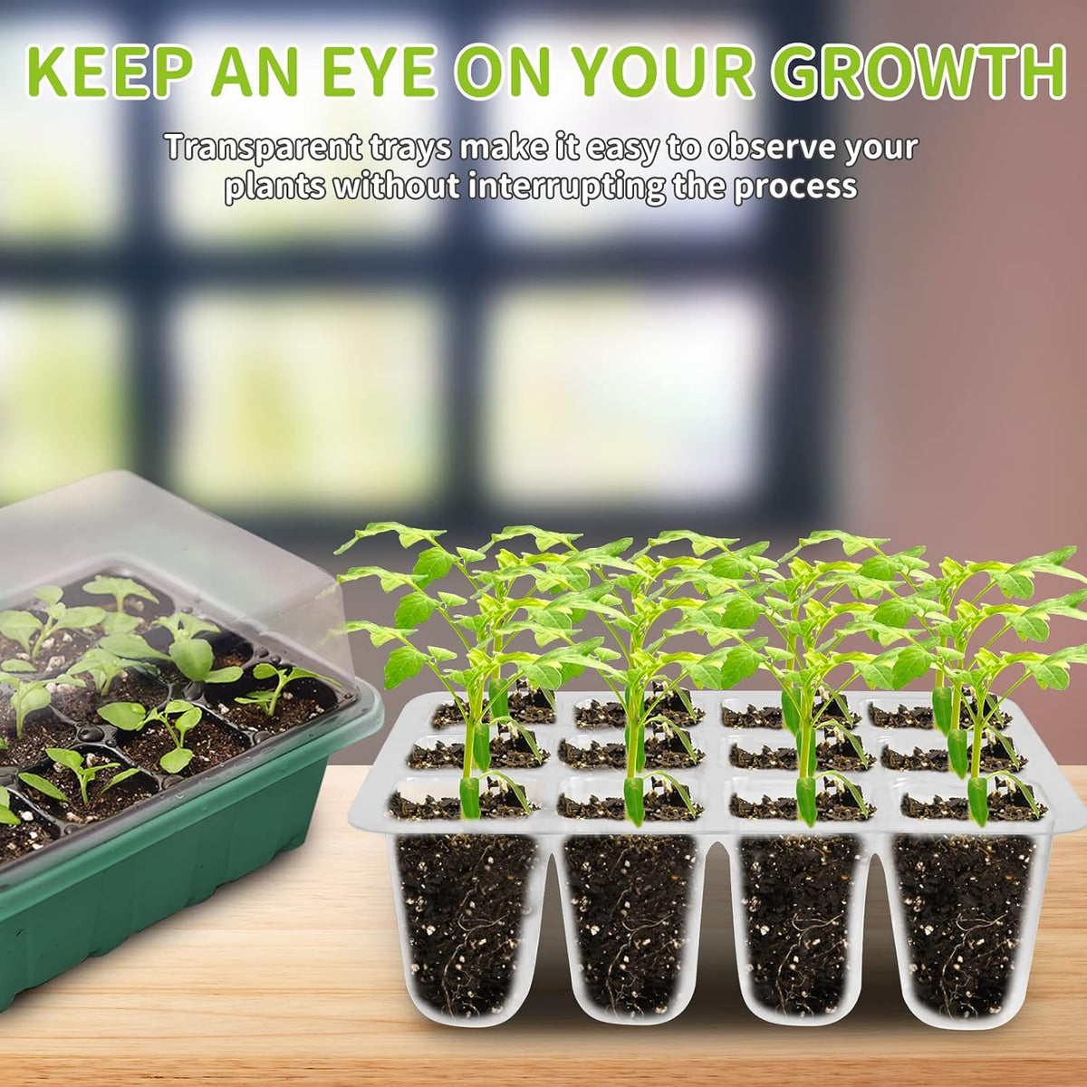 Seed Starter Tray with Heat Mat and Grow Light