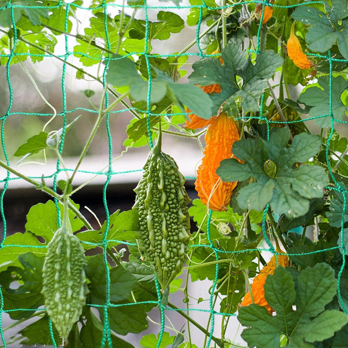 Trellis Netting, 16.4 x 6.6 ft