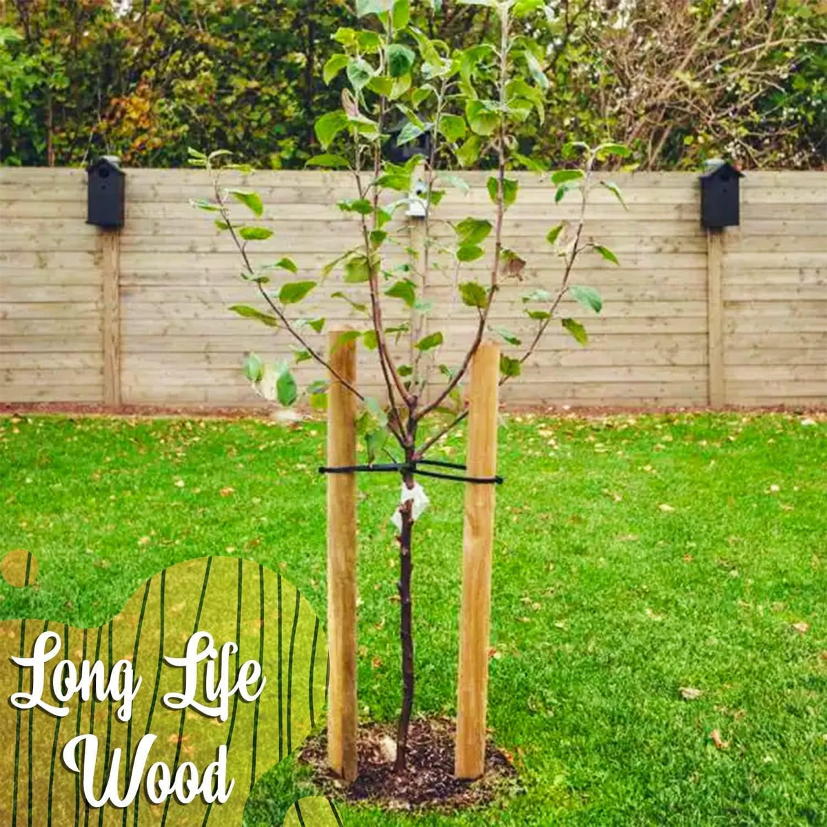 Circle of Trust Wooden Garden Stakes, 10 Pack, 30 cm
