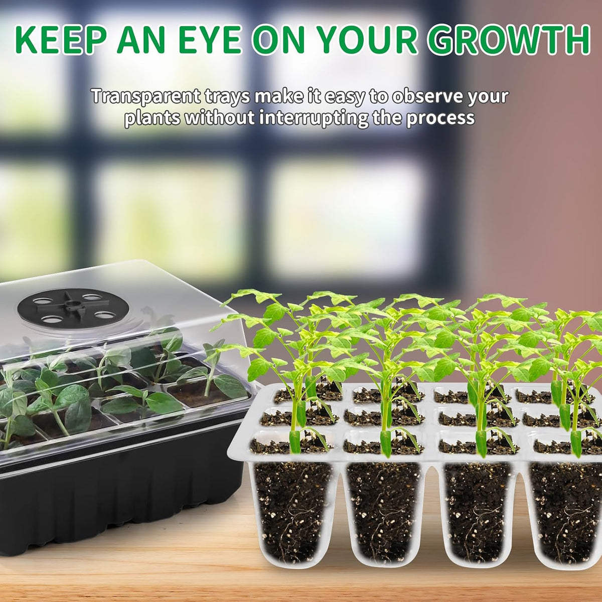 Seed Starter Tray with Heat Mat and Grow Light