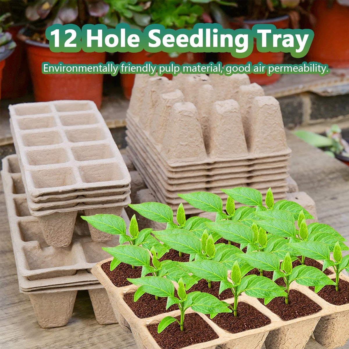 Seed Starter Trays, 20 Pack, 240 Cells