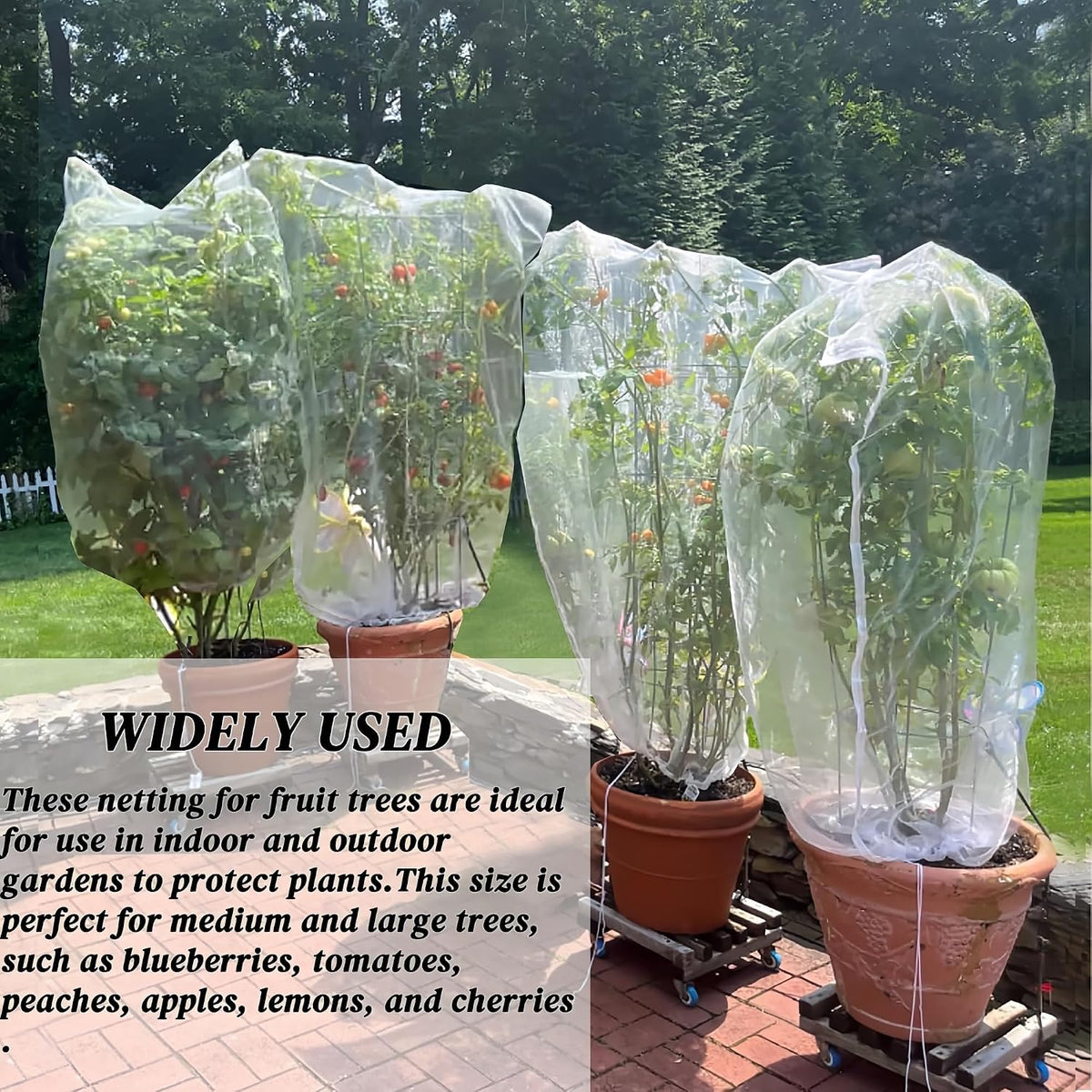 Fruit Tree Netting, 2 Pack, 8 x 6 ft