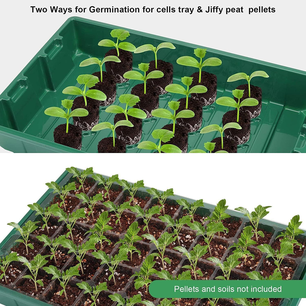 Seedling Trays with Vented Domes, 4 Pack