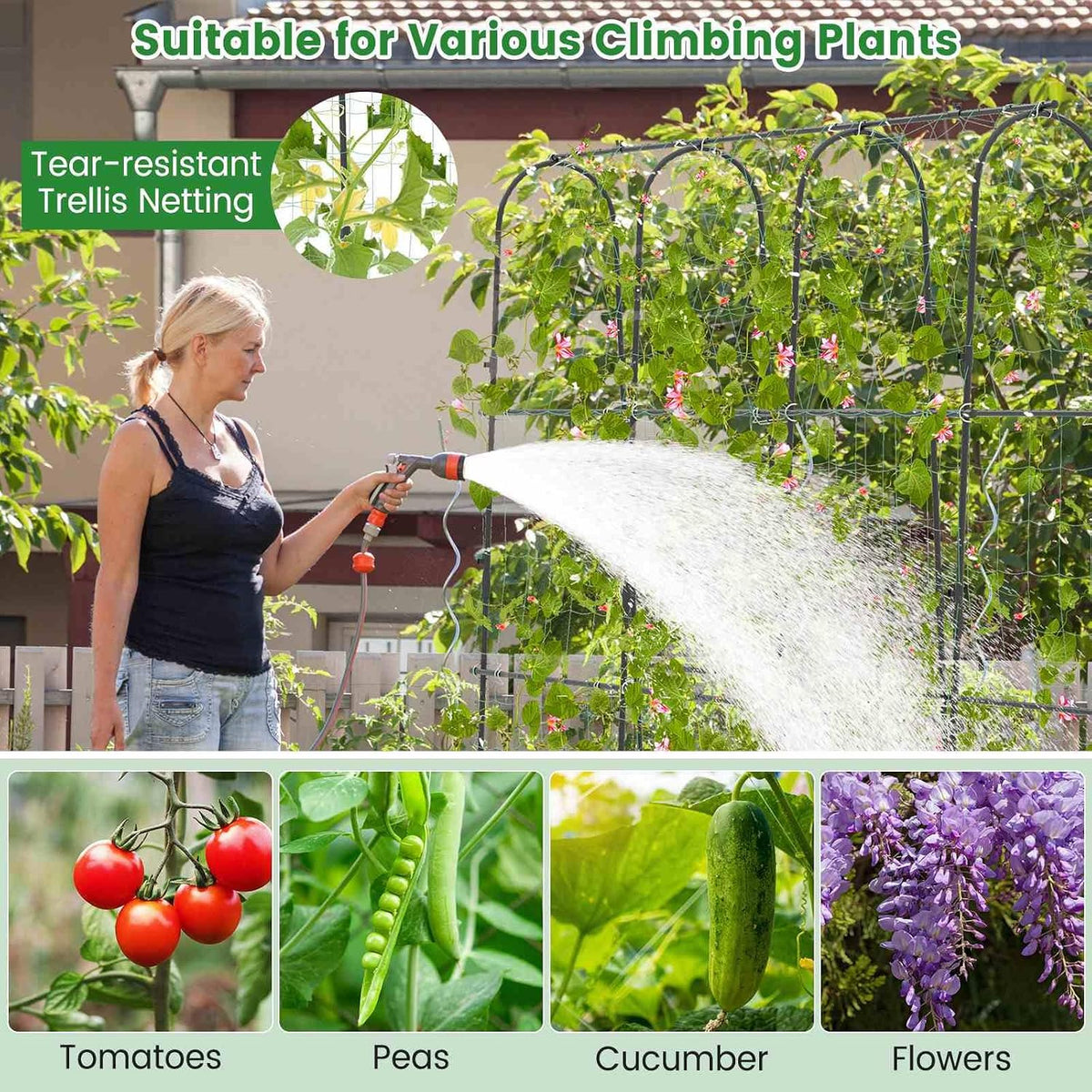 Costway Arched Garden Trellis, 1.8 x 1.8 m