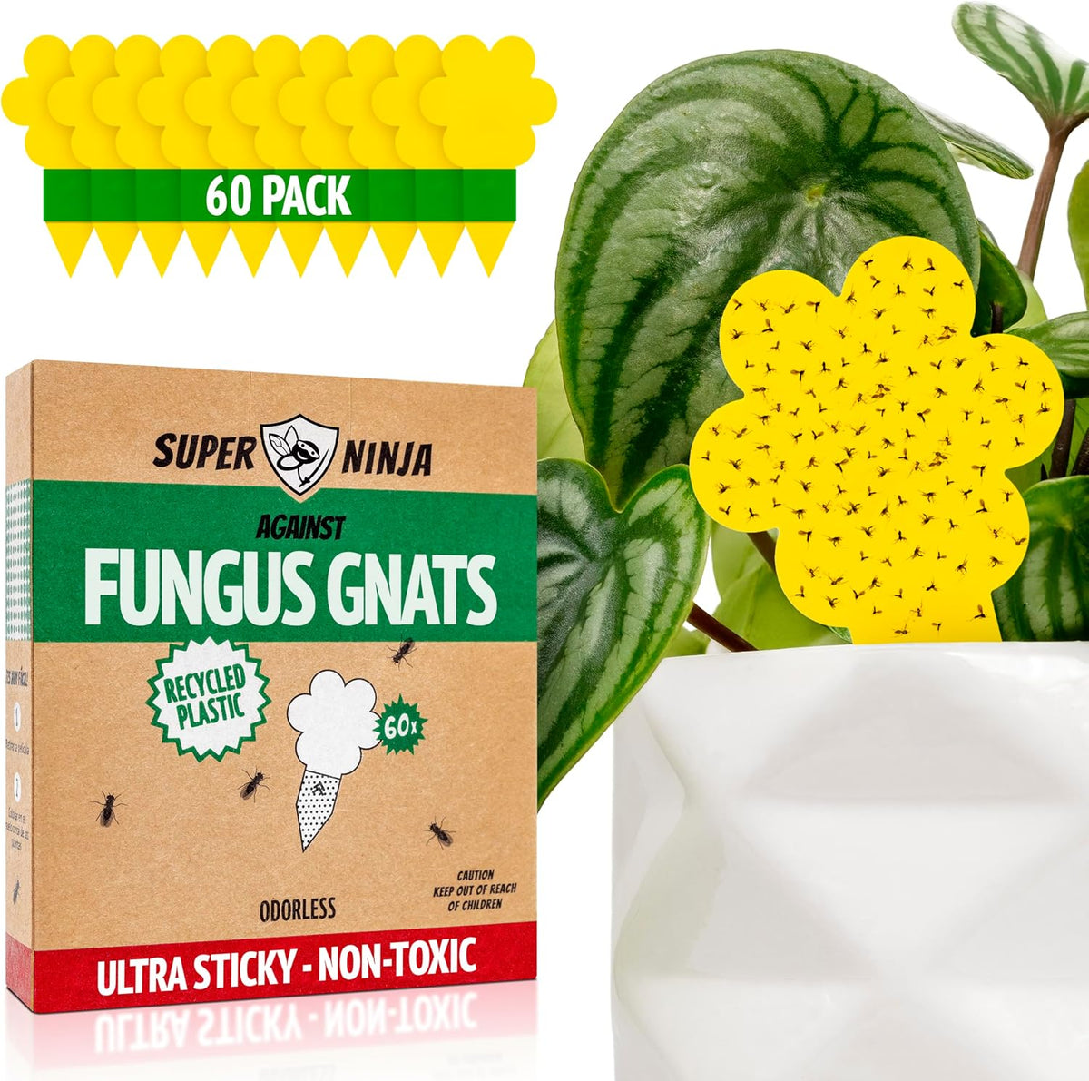 Super Ninja Fungus Gnat Traps, 10 Pack