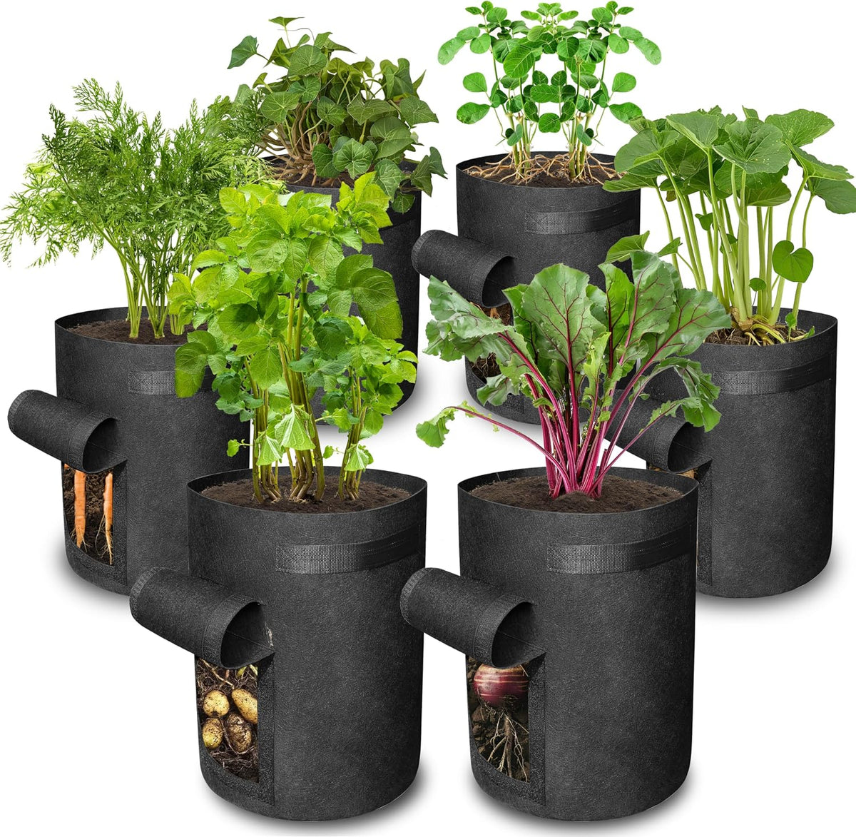 Gardzen Grow Bags, 6 Pack, 10 gal