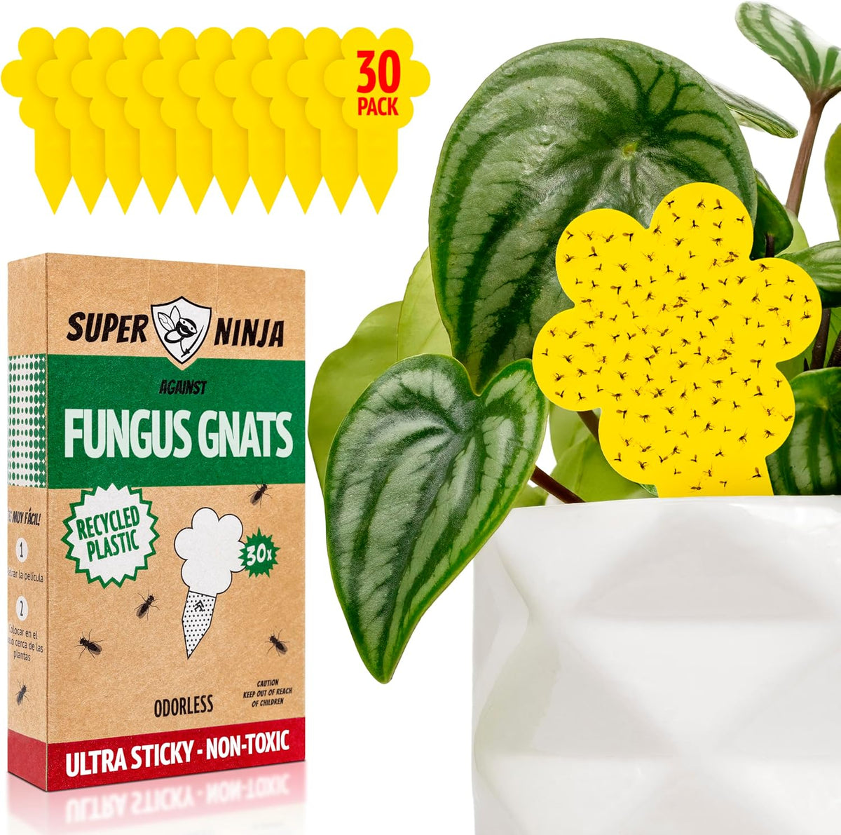 Super Ninja Fungus Gnat Traps, 10 Pack