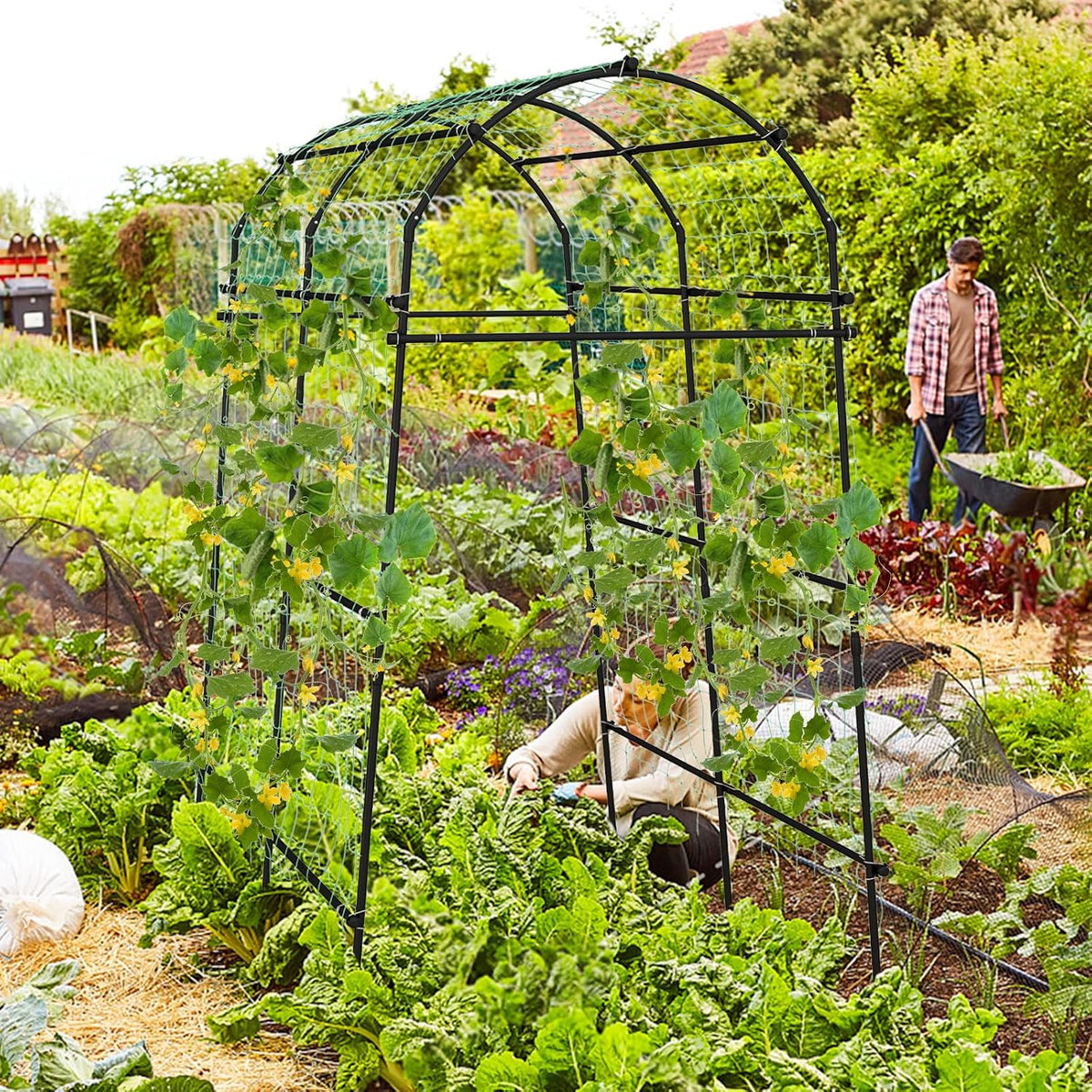 Costway Garden Arch Trellis, 230 cm
