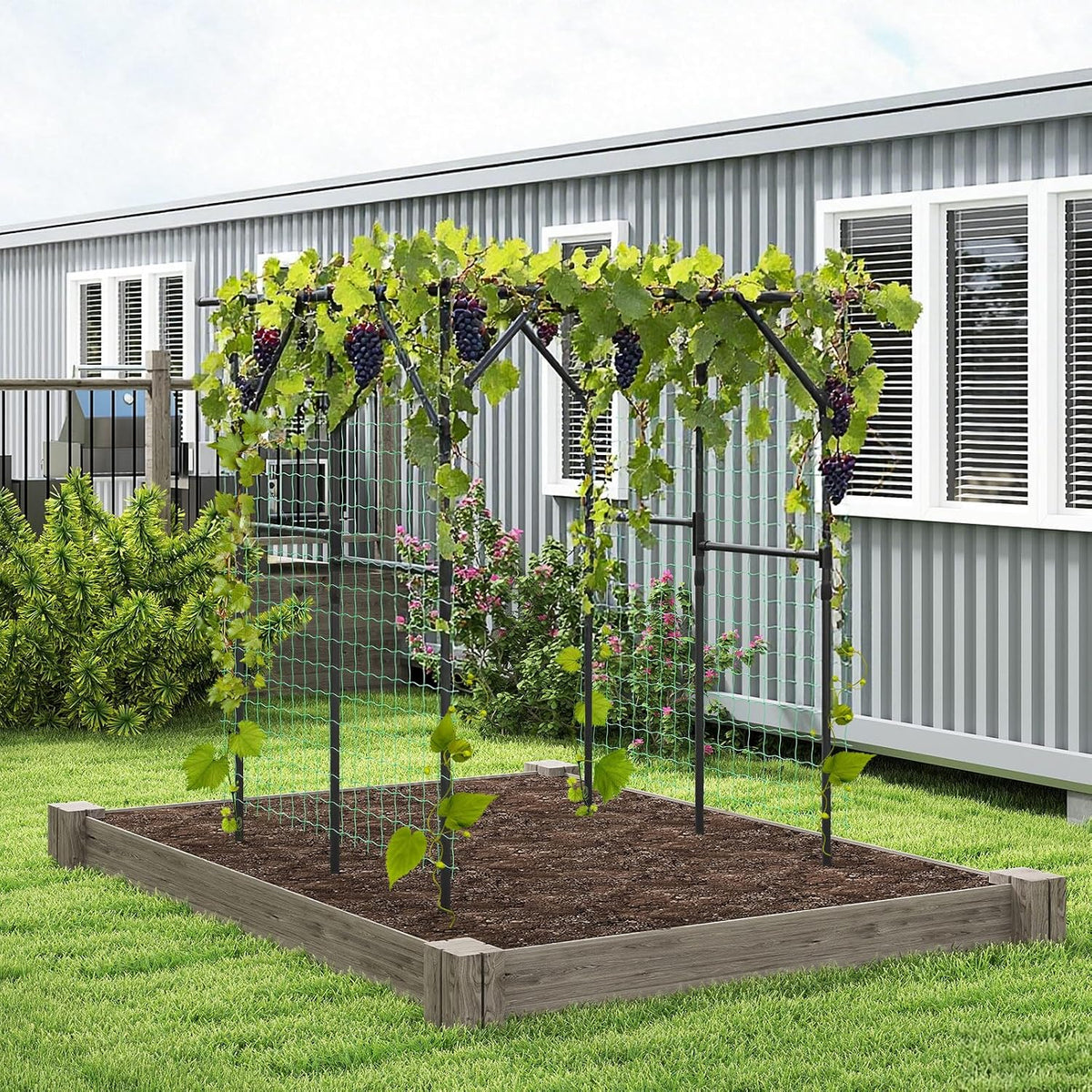 Costway Large Garden Arch Trellis, 200 x 150 x 197 cm